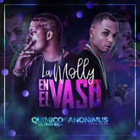 La Molly en el Vaso - Químico Ultra Mega, Anonimus