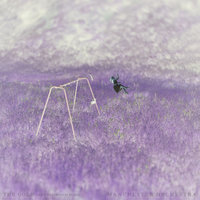 The Gold - Manchester Orchestra, Nick Waterhouse