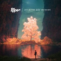 Follow Through - RIPÉ