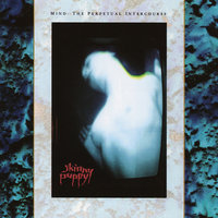 One Time One Place - Skinny Puppy