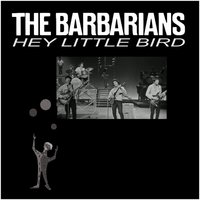 The Barbarians