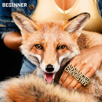 So schön - Beginner, Dendemann