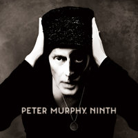 Crème de la Crème - Peter Murphy