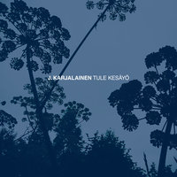 Tule kesäyö - J. Karjalainen