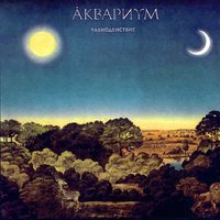 Наблюдатель - Аквариум