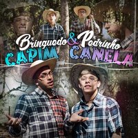 Capim Canela - MC Brinquedo, Mc Pedrinho