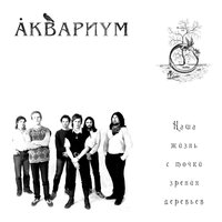 Нами торгуют - Аквариум
