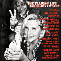 Tasered And Maced - The Flaming Lips feat. Aaron Behrens, The Flaming Lips, Aaron Behrens