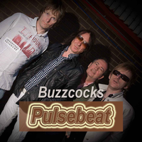 Ever Fallen In Love - Buzzcocks