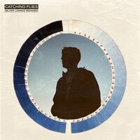 Satisfied (Ambient Reprise) - Catching Flies
