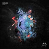 Process - oddprophet