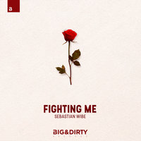 Fighting Me - Sebastian Wibe