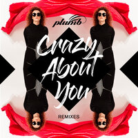 Crazy About You - Plumb, Dave Audé