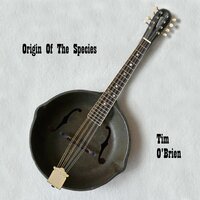 Origin Of Species - Tim O'Brien