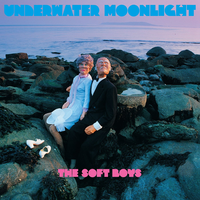 Wey Wey Hep Uh Hole - The Soft Boys