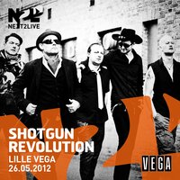 Shotgun Revolution