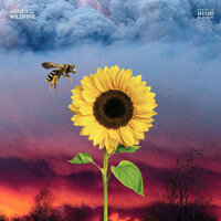 Numb - Honey C