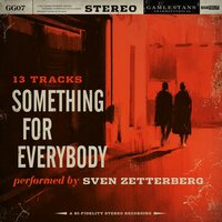 Pick up the Pieces - Sven Zetterberg