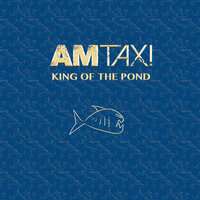 It's Only DuPage Wasteland - AM Taxi