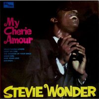 The Shadow of Your Smile - Stevie Wonder