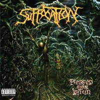Pierced from Within - Suffocation