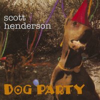 Too Many Gittars - Scott Henderson