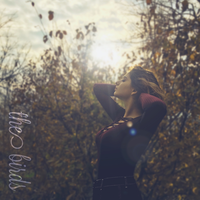The Birds - MAY