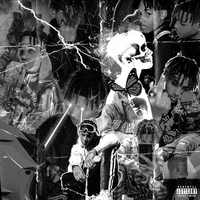 Vvs Gleam - TheHxliday