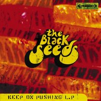 You Wait - The Black Seeds