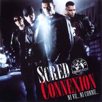 Enquête - Scred Connexion, Krusty, Shotla
