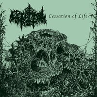 Cerebral Rot - Cerebral Rot
