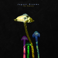 Behind Those Clothes - Jaguar Dreams, LEFTI