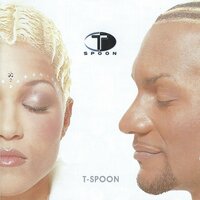 If I Could Turn Back Time - T-Spoon