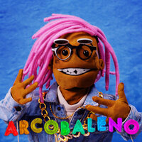 Arcobaleno - MamboLosco