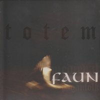 Zeit nach dem Sturm - faun