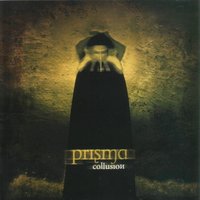 Passion-The Highest Necessity - Prisma