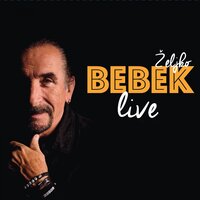 Oprosti mi što te volim - Zeljko Bebek