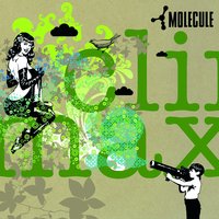 Bug - Leeroy, Molecule
