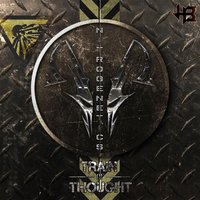 Dreamchaser - Nitrogenetics