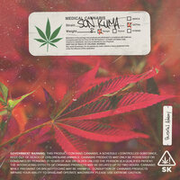 Trippin - Son Kuma, Griffin Stoller