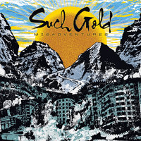 Understand and Forget - Such Gold
