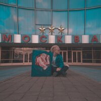 Коньяк - INSPACE