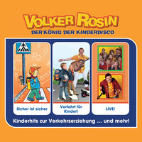 Der Gorilla mit der Sonnenbrille - Volker Rosin