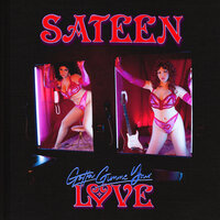 Gotta Gimme Your Love - Sateen