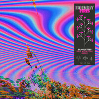 Silhouettes - Friendly Fires, Paul Woolford