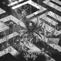 Maze - NAGAL