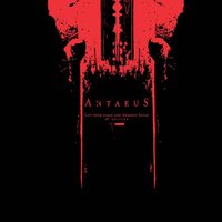 Devotee - Antaeus