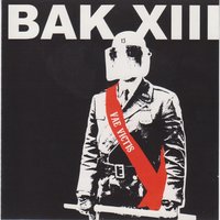 Vskmr - BAK XIII, Sybreed