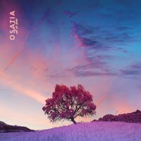 Osatia