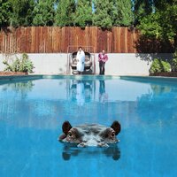I Wish You Were Fun - Sparks